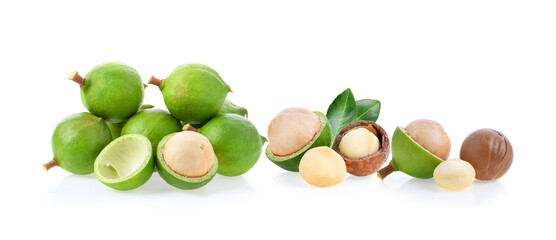 macadamia nuts isolated on white