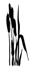 Oriental ink painting. Reeds. River plants. Image in one color. Vector. 