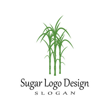 Sugar cane Logo Template vector symbol nature