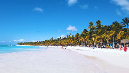 Fototapeta na wymiar Panoramic view of tropical beach with white sand and palm trees. Exotic vacation in Dominican Republic. Sunny day on seacoast.