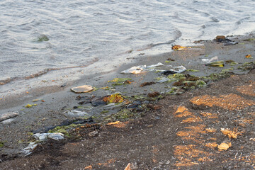 Spilled garbage on the beach of the big city. Empty used dirty plastic bottles. Dirty sea sandy shore the Black Sea. Environmental pollution. Ecological problem