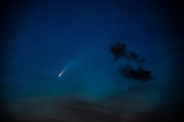 Comet Neowise in the evening sky