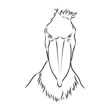 recommend clip art: Stork icon in outline style isolated on white background. Bird symbol stock vector illustration. whalehead royal stork, vector sketch