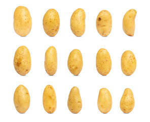 Collection of fresh potato isolated on white background