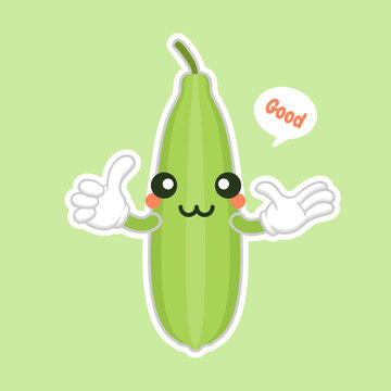 Cute and kawaii Luffa cartoon character. Loofah (Luffa acutangula), or sponge gourd, vegan plant. Hand drawn botanical vector illustration. Loffa vegetarian plant. Vegetable vector illustration