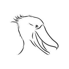 Stork icon in outline style isolated on white background. Bird symbol stock vector illustration. whalehead royal stork, vector sketch