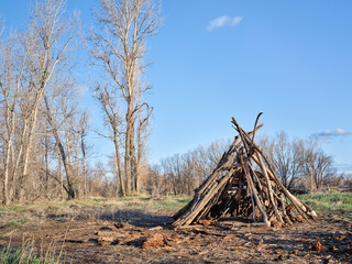 treehouse / tent - a tipi built from sticks by children in a forest, early spring scenery in northern Colorado © MarekPhotoDesign.com