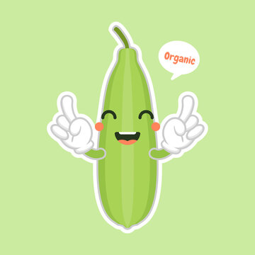 Cute and kawaii Luffa cartoon character. Loofah (Luffa acutangula), or sponge gourd, vegan plant. Hand drawn botanical vector illustration. Loffa vegetarian plant. Vegetable vector illustration