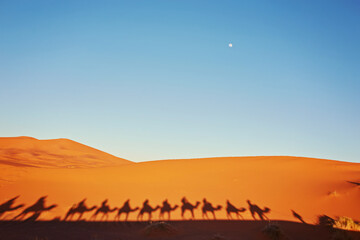 Fototapeta na wymiar Silhouette of camel caravan in big sand dunes of Sahara desert, Merzouga, Morocco