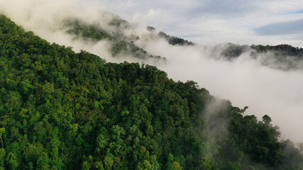 Fototapeta na wymiar Aerial view of a rainforest in the lush green rain cloud cover tropical rain forest mountain during the rainy season in the northern Thailand.Doi phuka.