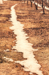 The trail of a thawed snow trail bends along a row of garden trees. Selective focus.