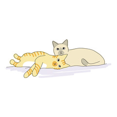 仲良くくっついて寝ている二匹の猫