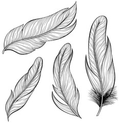 Set of bird feathers. Boho style. Line art hand drawn isolated on white background. Sketch for tattoo, coloring book page, invitations, logo, label