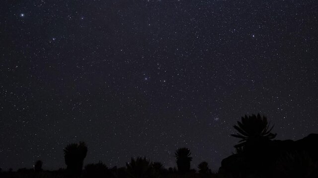 Timelapse de noche con estrellas en el volc&aacute;n Chiles,  Carchi, Ecuador, con perfil de frailejones