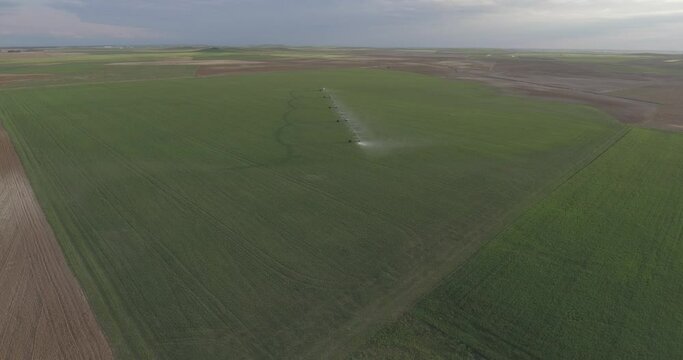riego por aspersion pivot de cereal en campo de castilla