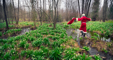 Fototapeta premium Santa Claus and snowdrops