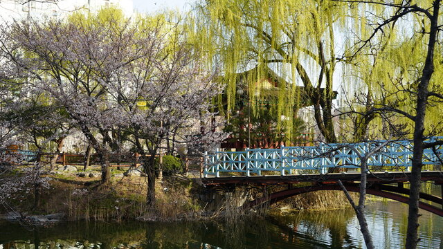 韓国 利川(Icheon)の風景