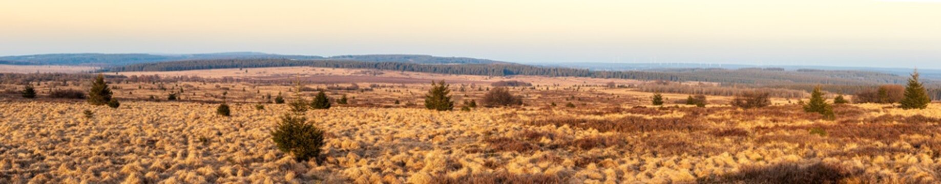 Vue panoramique sur les Hautes Fagnes