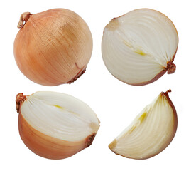 Single object of Onion bulbs isolated on white background