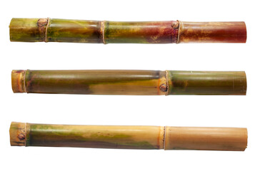 Single object of Sugar cane isolated on white background