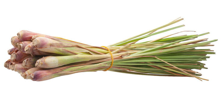 Single object of Lemongrass isolated on white background