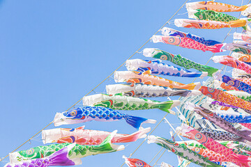 鯉のぼり　こどもの日　