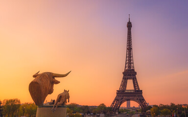 Fototapeta na wymiar Tour Eiffel view from the Trocadero fountains at sunrise, Paris, France