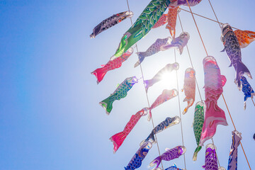 鯉のぼり　こどもの日　