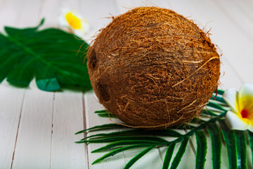 Coconut and palm leaves