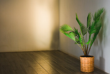 plant in a vase on the wall