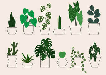 Fototapeta na wymiar Indoor Plants Icon Set