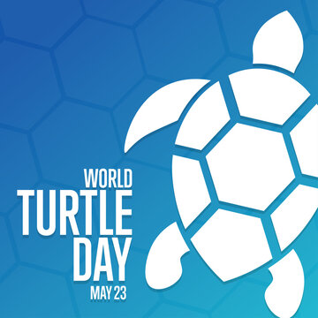 World Turtle Day. May 23. Holiday concept. Template for background, banner, card, poster with text inscription. Vector EPS10 illustration.