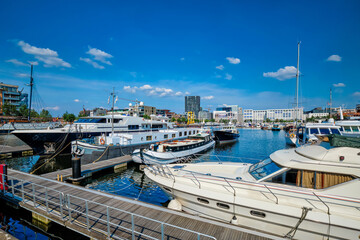 Yachts and boats moored in Willemdock in Antwerp, Belgium