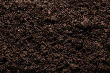 Black land for plant background.