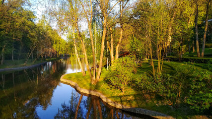 River in the forest. Spring in the park