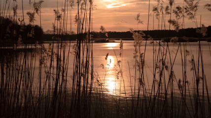 Zbliżający się zachód słońca nad jeziorem. - obrazy, fototapety, plakaty