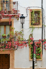 Fototapeta na wymiar Fachada con ventanas y balcones llenos de flores