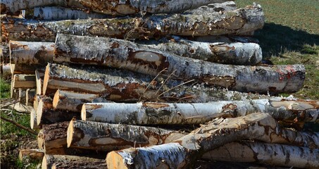 stack of firewood