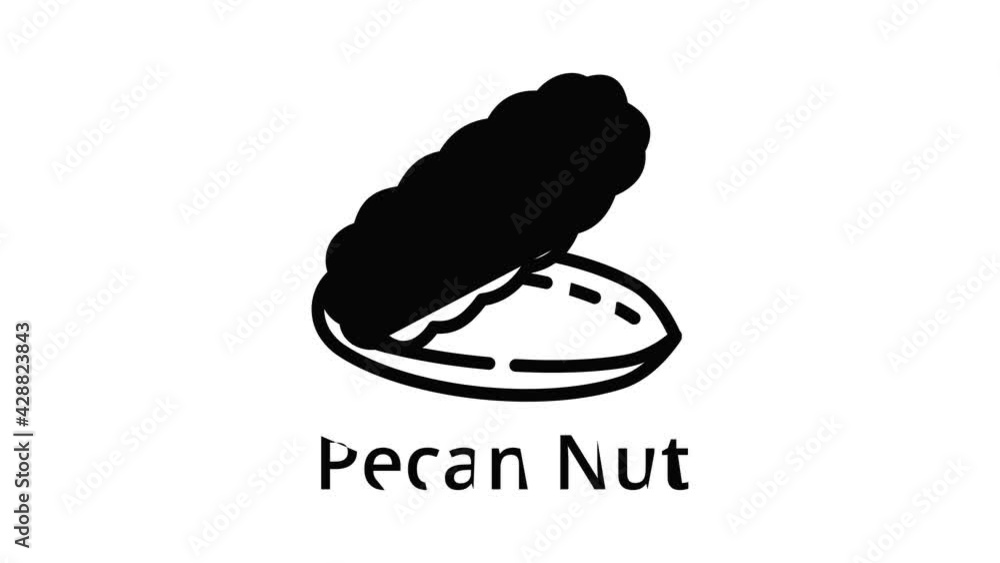 Poster pecan nut icon animation outline best object on white background