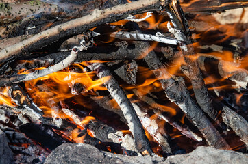Open fire. A fire made of wooden firewood for cooking shish kebab