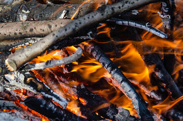 Open fire. A fire made of wooden firewood for cooking shish kebab