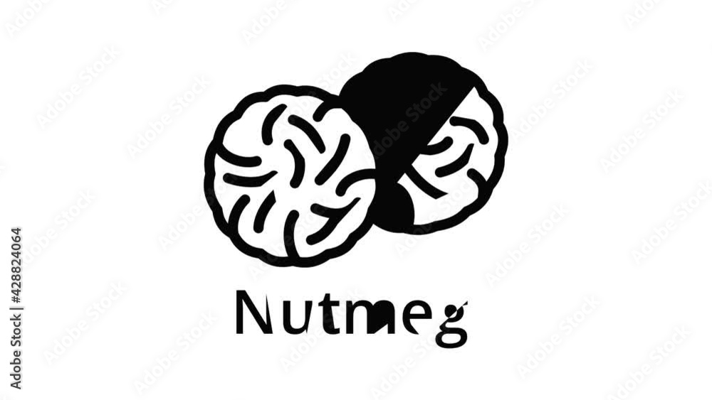 Aufkleber nutmeg icon animation outline best object on white background