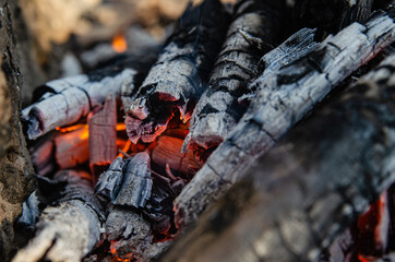 Open fire. A fire made of wooden firewood for cooking shish kebab
