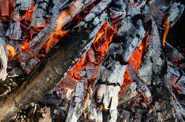 Open fire. A fire made of wooden firewood for cooking shish kebab
