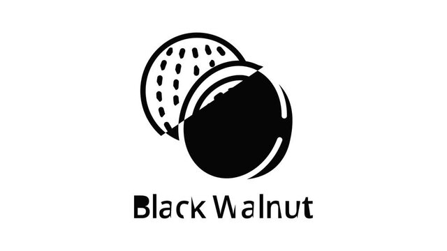 Black walnut icon animation outline best object on white background