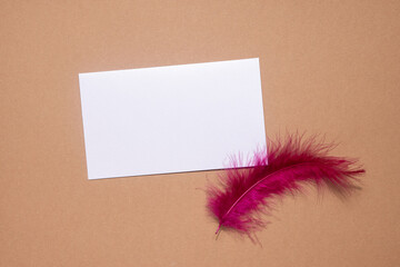 Beautiful abstract purple feather and white postcard on pastel beige background colorful background, colorful feather