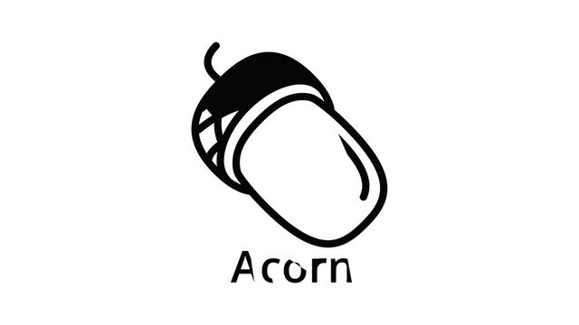 Acorn icon animation outline best object on white background