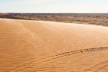 Spuren , die vom Winde verweht werden - Sahara- Da es in der Sahara selten windstill ist, ist der Sand ständig in Bewegung und Spuren werden schnell verweht.