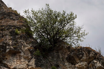 The medieval fortress Cherven is a strategic military-administrative center in the Second Bulgarian Kingdom with its own water reservoir, built on rocks near the town of Ruse, Bulgaria 