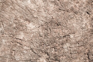 Wooden rough timber old aged. texture material wood.